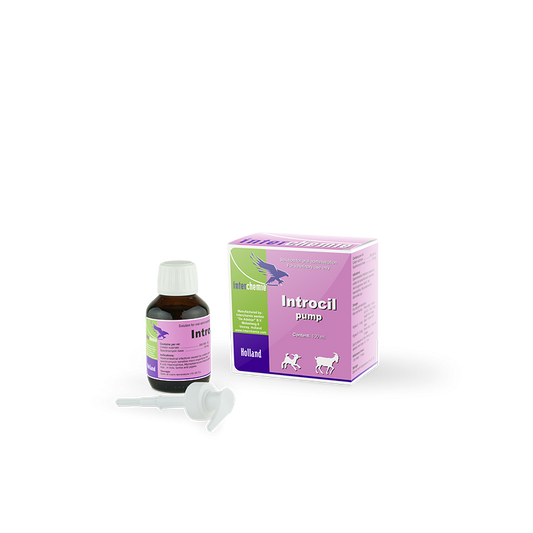 medicine_oral_-_introcil_pump_-_100ml