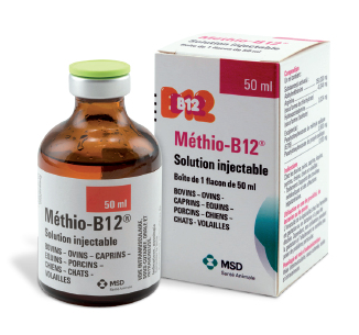 Methio B12 - 50 ml