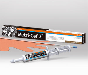 metri-cef-3