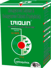 Triquin Triquin – torsineen