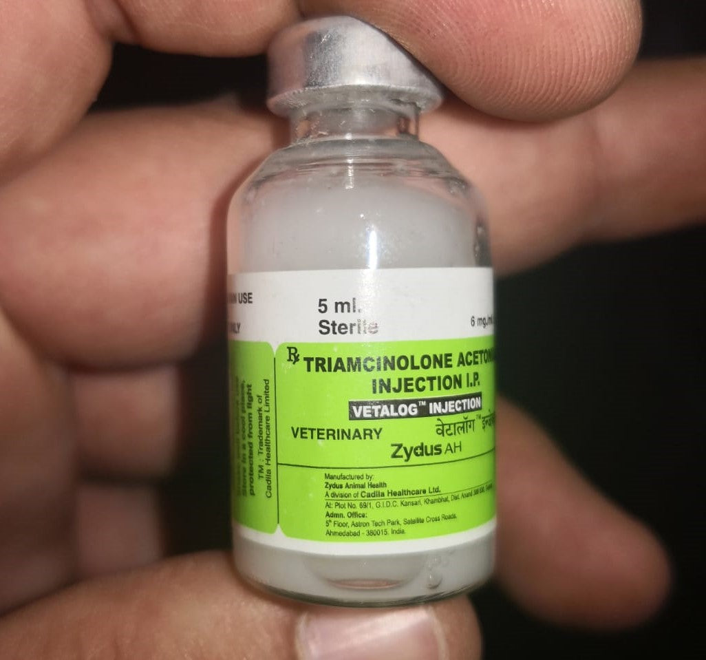 Vitalog Injection Vetalog 5 ml – torsineen