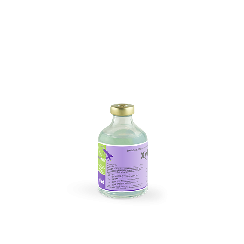 xyla_-_50_ml_vial_ (1)